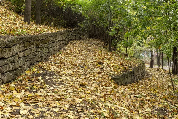 Καμπύλες Της Διαδρομής Στο Γραφικό Εγκαταλειφθεί Βοτανικό Πάρκο Μια Συννεφιασμένη — Φωτογραφία Αρχείου