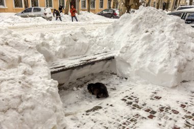 Odessa, Ukrayna - 29 Aralık 2014: Doğal felaketler, kar fırtınası şiddetli kar yağışı ile şehir felç oldu. Kolaps. Kar kaplı siklon Avrupa, 29 Aralık 2014 Odessa, Ukrayna.