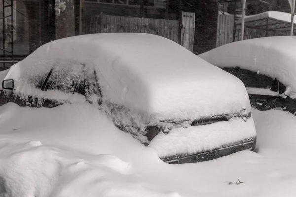 オデッサ ウクライナ 2014 自然災害 大雪と吹雪 都市を麻痺させた Kolaps 雪覆われたサイクロン ヨーロッパ 2014 — ストック写真