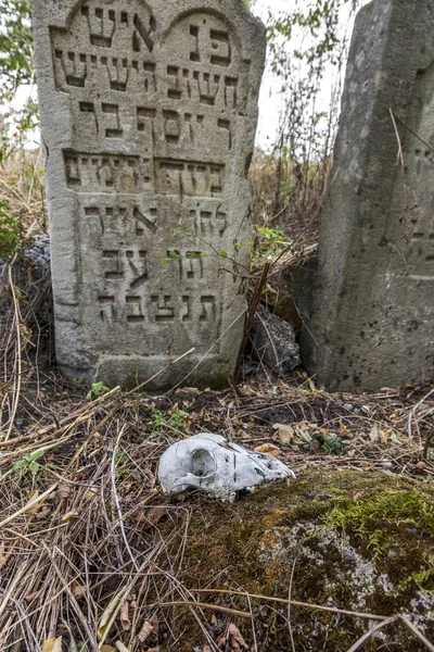 Odessa Ukraine November Abandoned Old Graves Historic Jewish Cemetery 18Th — Stock Photo, Image