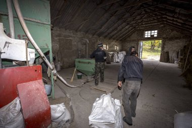 Odessa, Ukrayna - 10 Ekim 2014: bir küçük çiftlik otomatik modern fabrikaları buğday öğütme teknolojik üretim süreci. Özel tarım 10 Ekim 2014 Odessa, Ukrayna. 