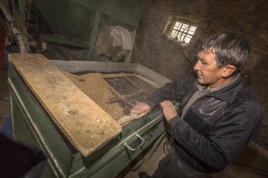 Odessa, Ukrayna - 10 Ekim 2014: bir küçük çiftlik otomatik modern fabrikaları buğday öğütme teknolojik üretim süreci. Özel tarım 10 Ekim 2014 Odessa, Ukrayna. 