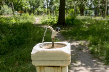 Şehir içme suyu Şehir Parkı eski bir mermer sütun çeşme. insanlar içmek için şehir kase. Dokunun, Çeşme parkta insanlar tarafından su içmek için su akımları