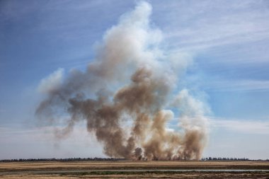 Yaz kuraklığı sırasında güney bozkırlarında büyük boğucu duman bulutlarıyla güçlü çayır yangını patlak verdi. Kasabadaki evlere ateş hattı açılıyor. Ekolojik felaket