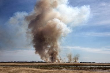 Yaz kuraklığı sırasında güney bozkırlarında büyük boğucu duman bulutlarıyla güçlü çayır yangını patlak verdi. Kasabadaki evlere ateş hattı açılıyor. Ekolojik felaket