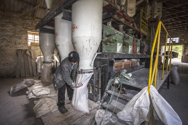 Odessa Ukrayna Ekim 2014 Bir Küçük Çiftlik Otomatik Modern Fabrikaları — Stok fotoğraf