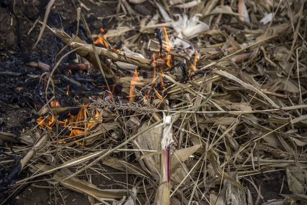 Schwere Dürre Brände Auf Landwirtschaftlichen Feldern Windparks Völlig Auszutrocknen Notstand — Stockfoto