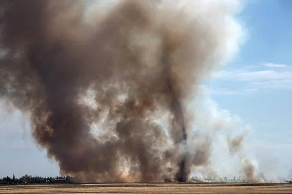 Strong prairie fire with large clouds of choking smoke erupted in southern steppe during the summer drought. The line of fire is coming to town houses. Ecological catastrophy
