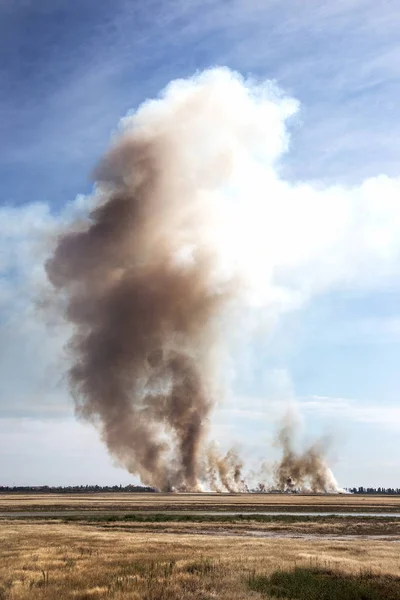 Strong prairie fire with large clouds of choking smoke erupted in southern steppe during the summer drought. The line of fire is coming to town houses. Ecological catastrophy