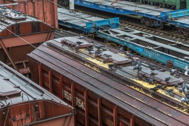 Odessa, Ukrayna - 12 Ekim 2016: Şube istasyondaki bir yük treni. Demiryolu taşımacılığı. Yük. Demiryolu Silo tahıl ve Mısır ile. Bir sürü aç güvercinlerin silo tahıl kapaklı