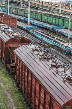 Odessa, Ukrayna - 12 Ekim 2016: Şube istasyondaki bir yük treni. Demiryolu taşımacılığı. Yük. Demiryolu Silo tahıl ve Mısır ile. Bir sürü aç güvercinlerin silo tahıl kapaklı