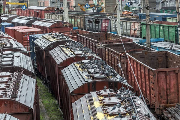 Odessa Ukraine October 2016 Freight Train Branch Station Rail Transportation — Stock Photo, Image