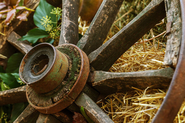 Ancient wooden wheel hand-made by ancient technology for horse carts on the farm. Old wooden wheel for peasant carts start 18-19 century
