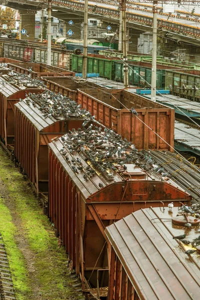 Odessa Ukraine October 2016 Freight Train Branch Station Rail Transportation — Stock Photo, Image