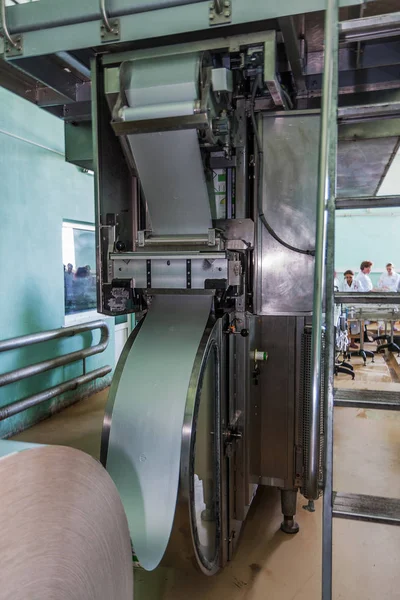 Παραγωγή Βιομηχανικού Μεταφορικού Ιμάντα Στο Οινοποιείο Γυάλινες Φιάλες Στη Διαδικασία — Φωτογραφία Αρχείου
