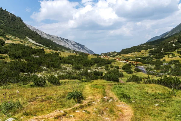 Idyllische Sommerlandschaft Den Bergen Mit Kühen Die Auf Frischen Grünen — Stockfoto