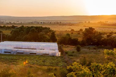 Güzel yumuşak parlak güneş ışınlarının bir serada, yatay, günbatımında tonda. Parlak, kiriş ve yumuşak odak. Arka plan olarak tasarımı için