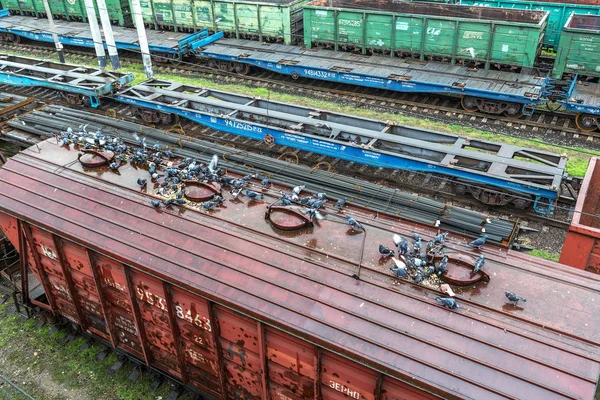 Odessa Ukraine October 2016 Freight Train Branch Station Rail Transportation — Stock Photo, Image