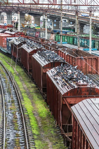 Odessa Ukraine October 2016 Freight Train Branch Station Rail Transportation — Stock Photo, Image
