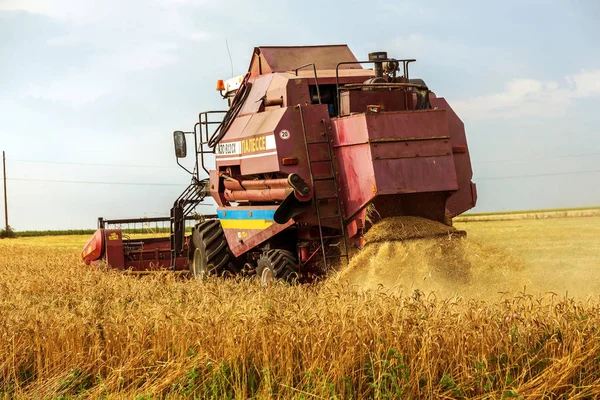 Odessa Ukraine July 2016 Beginning Harvest Ripe Wheat Modern Harvester — Stock Photo, Image