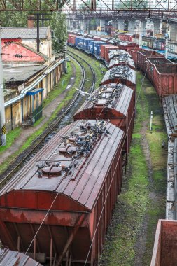 Odessa, Ukrayna - 12 Ekim 2016: Şube istasyondaki bir yük treni. Demiryolu taşımacılığı. Yük. Demiryolu Silo tahıl ve Mısır ile. Bir sürü aç güvercinlerin silo tahıl kapaklı