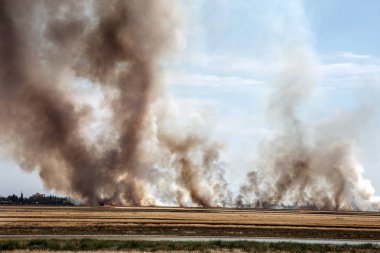 Yaz kuraklığı sırasında güney bozkırlarında büyük boğucu duman bulutlarıyla güçlü çayır yangını patlak verdi. Kasabadaki evlere ateş hattı açılıyor. Ekolojik felaket