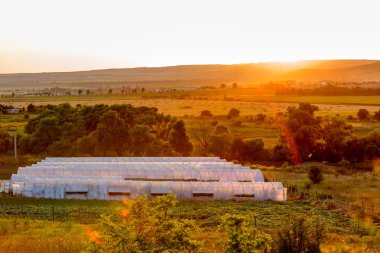 Güzel yumuşak parlak güneş ışınlarının bir serada, yatay, günbatımında tonda. Parlak, kiriş ve yumuşak odak. Arka plan olarak tasarımı için