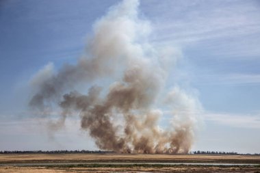 Yaz kuraklığı sırasında güney bozkırlarında büyük boğucu duman bulutlarıyla güçlü çayır yangını patlak verdi. Kasabadaki evlere ateş hattı açılıyor. Ekolojik felaket