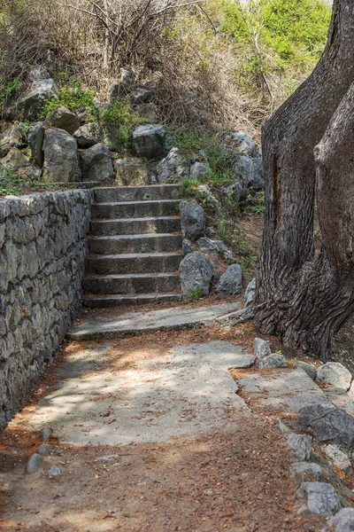 Old damaged stone stairs, up and down, textured background. Old stone cement staircase in the city park in the cracks