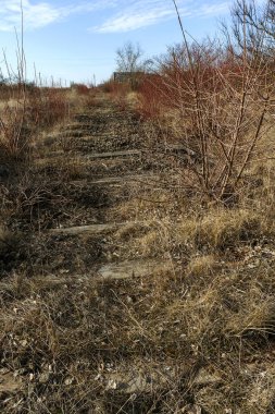 Demiryolu, kırık raylar, kırık tahta uyuyanlar terk edilmiş. Demiryolu kırık kalıntıları. Yağmaladılar eski demiryolu. Yol alabileceği bir yol vardır. Enkaz, kalıntıları, eski tuval unsurları. Seçici odak