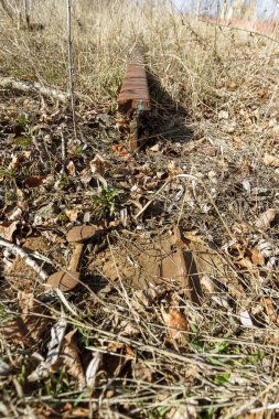 Demiryolu, kırık raylar, kırık tahta uyuyanlar terk edilmiş. Demiryolu kırık kalıntıları. Yağmaladılar eski demiryolu. Yol alabileceği bir yol vardır. Enkaz, kalıntıları, eski tuval unsurları. Seçici odak