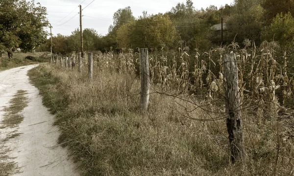 Vue Rurale Village Ukrainien Pauvre Une Vieille Clôture Bois Dans — Photo