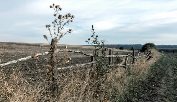 Vista Rural Pobre Pueblo Ucraniano Una Antigua Cerca Madera Campo —  Fotos de Stock