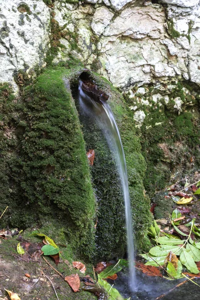 The holy spring of living water, the old 17th century font, moss-covered walls, autumn. Well of holy water with spring water, well known for its healing properties