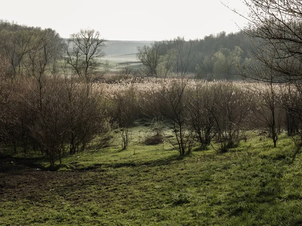 Venkovská Krajina Jarní Přírody — Stock fotografie