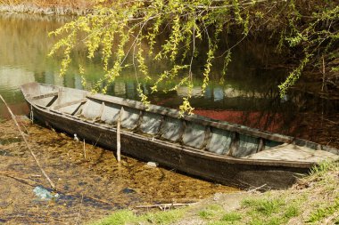 eski ahşap bir güzel bahar güneşli günde büyümüş Gölü kanaldaki kürek balıkçı teknesi mavi. Sazlık gölün orta Lane tipik bir manzara kıyısında balıkçı tekneleri kürek