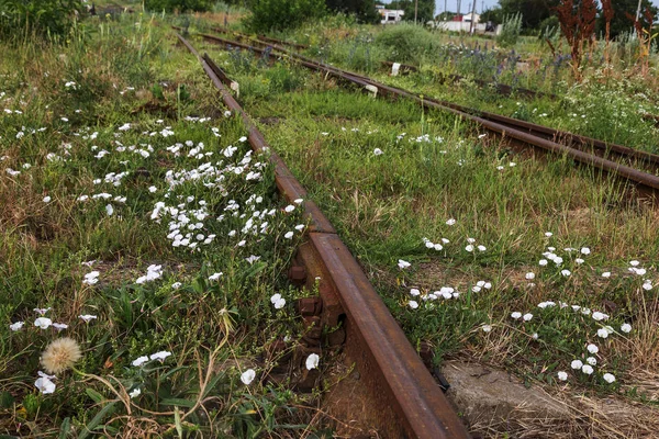 老铁路的铁轨 锈迹斑斑的老铁路标志作为怀旧的复古背景 — 图库照片