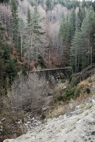 Antiguo Ferrocarril Estrecho Las Montañas Pirin Escena Escénica Dramática Ferrocarril — Foto de Stock