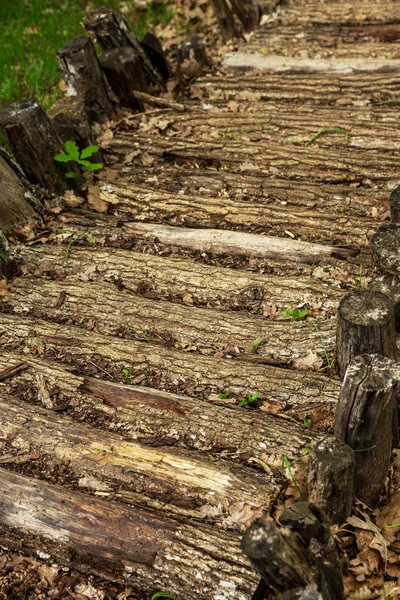 Dřevěná Cesta Cesta Lesa Protokolů Šišky Štěrku Pro Pěší Včel — Stock fotografie