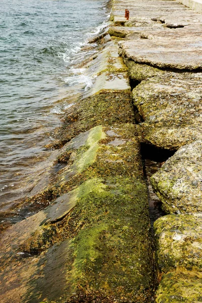 毁坏了沿海混凝土保护结构 砌块板之间的大裂缝保护海岸不受海浪冲击的侵蚀 巨大的混凝土构件 加固保护海岸 — 图库照片