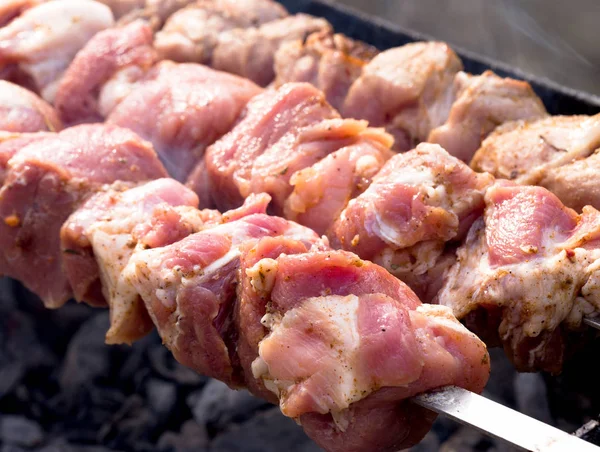 절인된 Shashlik 큐입니다 선택적 — 스톡 사진