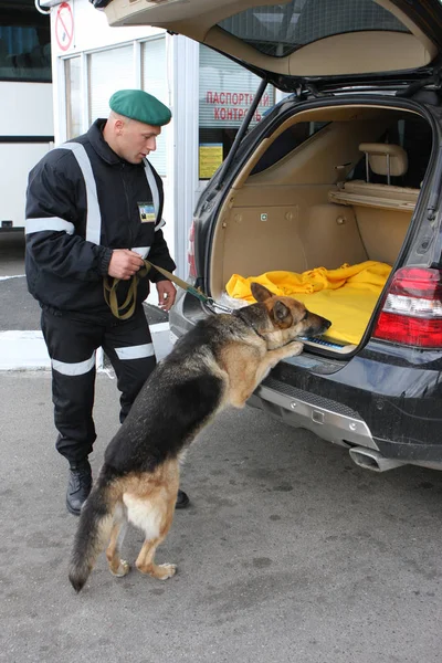 Одеса Квітня Митні Пропуску Через Державний Кордон України Молдова Інспекції — стокове фото