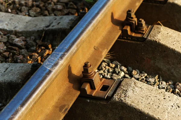 Oude Spoorweg Tracks Perspectief Oude Rails Landschap Rails Het Land — Stockfoto