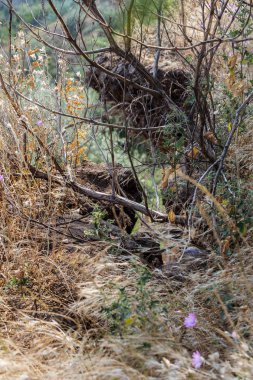 Sesmically tehlikeli bölgede dağ heyelan felaketi. Toprak, toprak engelleme yolun büyük katmanları kökenli büyük çatlaklar. İnsanlara heyelan pistlerinin dağın damming, ölümcül bir tehlike