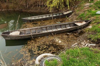 eski ahşap bir güzel bahar güneşli günde büyümüş Gölü kanaldaki kürek balıkçı teknesi mavi. Sazlık gölün orta Lane tipik bir manzara kıyısında balıkçı tekneleri kürek