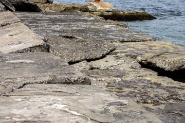 Kıyı beton koruyucu yapı yok. Döşeme blokları arasında büyük derin çatlaklar shore dalga deniz etkisinin erozyon korumak. Beton takviye sahil korumaya ile büyük parçalar