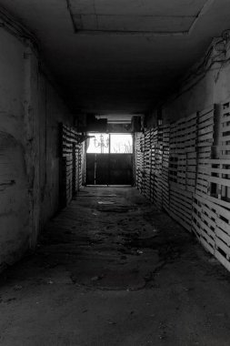Tünel ışık mistik görünümü. Eski bir duvar eski kemer tünelden. uzun Metro tuğla tünel. Mistik zindan. Işık uzun koridor, arka plan korku sonunda. Terk edilmiş, ürkütücü koridor
