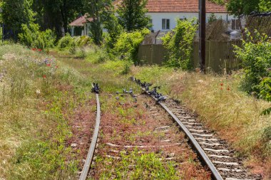 Demir raylar eski demiryolu. Paslı eski demiryolu işaretleri nostalji vintage bir arka plan olarak.
