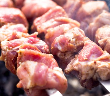 ham Marine Kebab, Barbekü. seçici odak fotoğraf