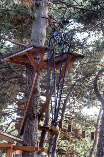 Extreme Rope Town Tops Trees Rope Town Active Family Vacation — Stock Photo, Image